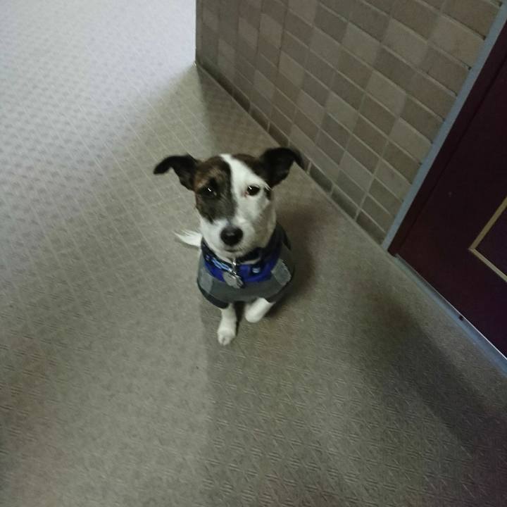 F3f06d66 da70 4220 9626 0c503c7ebe20 1515066492675