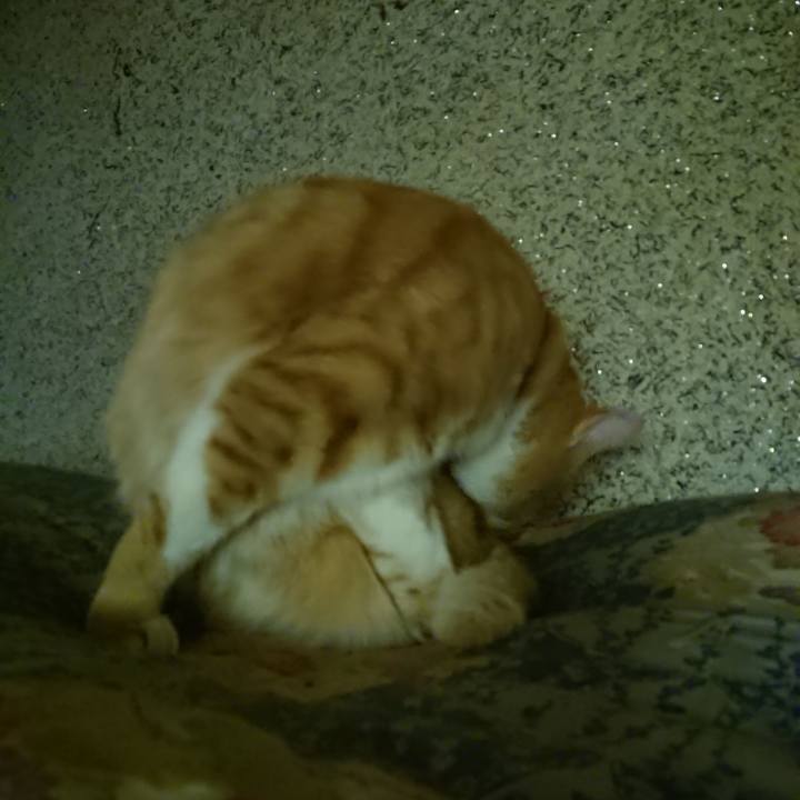 F3f0afa9 4500 4a08 9230 d301d28c5465 1603275567054