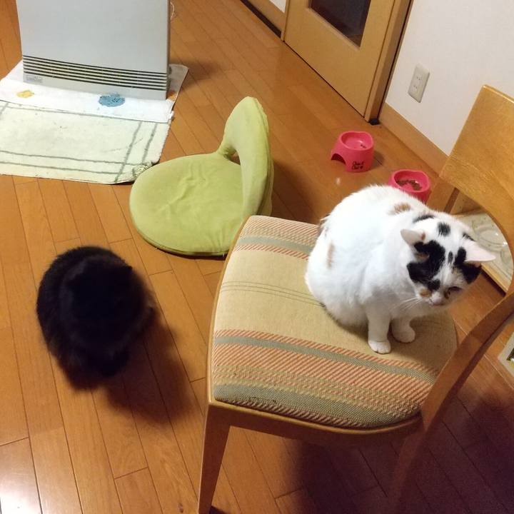 F3f0afd9 6477 48d3 aa3e 8f6cdf10e6eb 1610663240534