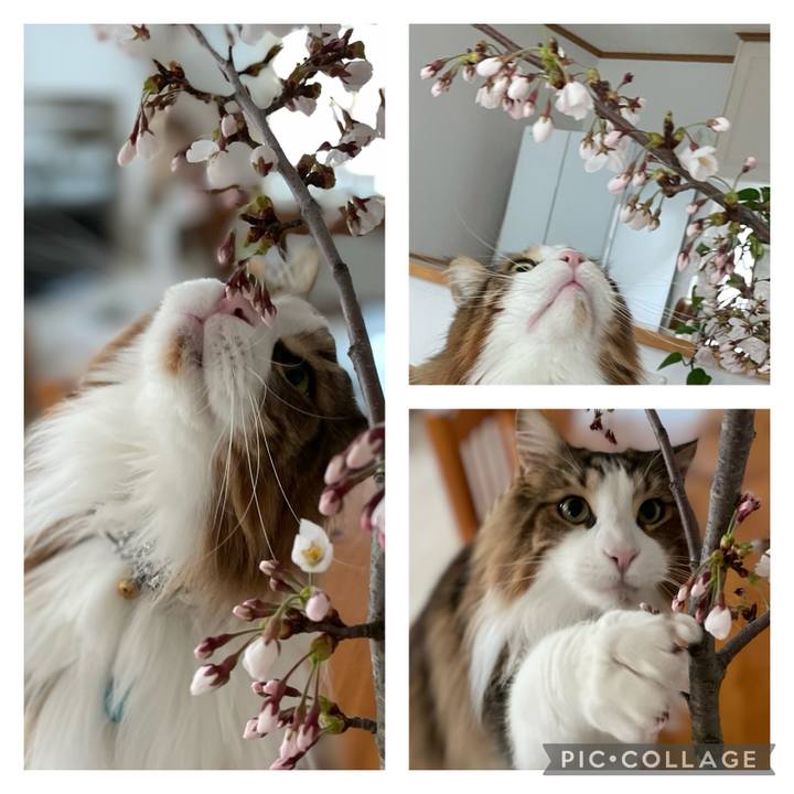 F3f0c3bb a8ab 4709 bccc d4b2b9986f5f 1713648389801