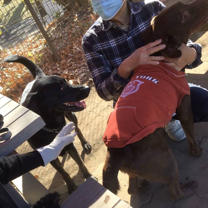 F3f0ce3a fc51 4902 9908 b85a8ce2c7a9 1606093492357