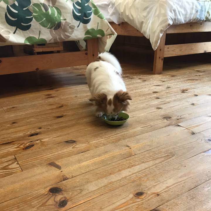 F3f0d2ab 7d31 439b bbaa 26d28cf63de7 1566007143271