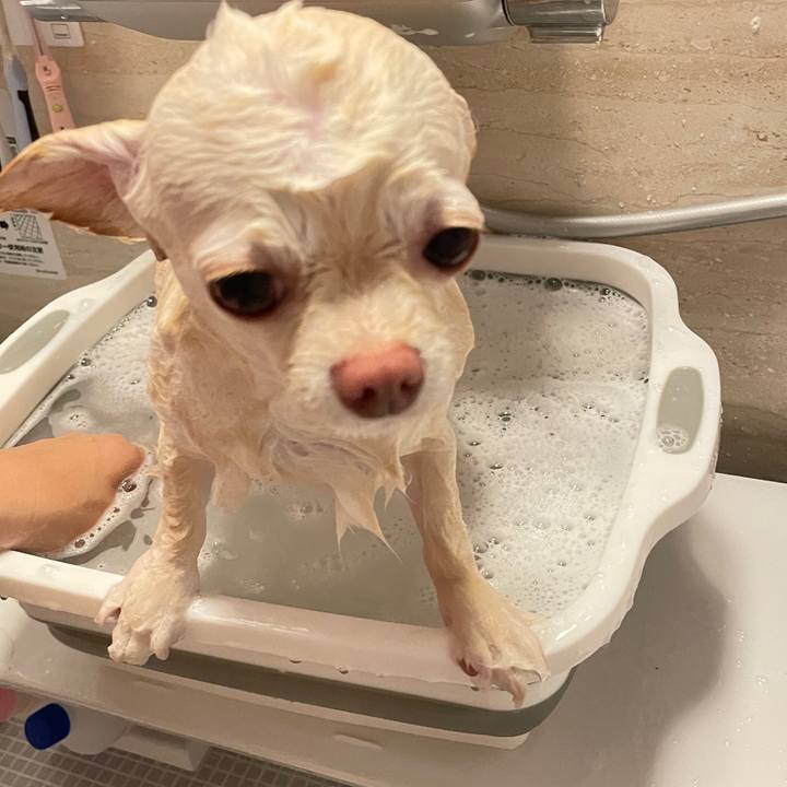 F3f0dc9b 4d59 48c3 8c21 aa4d60db9f7f 1692005349206