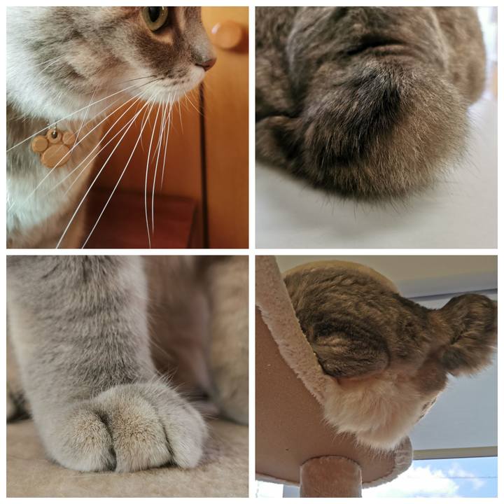 F3f141a5 730b 4515 b2de 0a8059db74c2 1637207851170