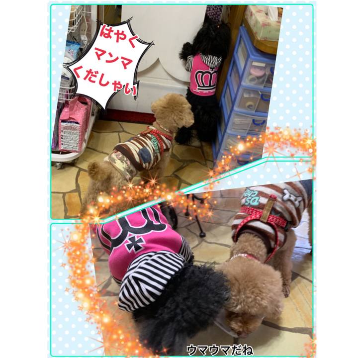 F3f1514d 2e66 4b9b 91f3 c8dcb9406b9b 1544351587122