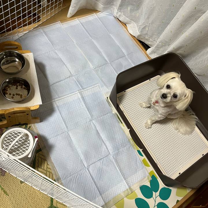 F3f165ca fba5 4314 b2fe 8108d583206e 1692084680865