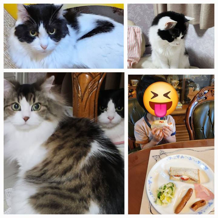 F3f18361 d2dd 401b 80de 8d5ffec91f28 1716242640745