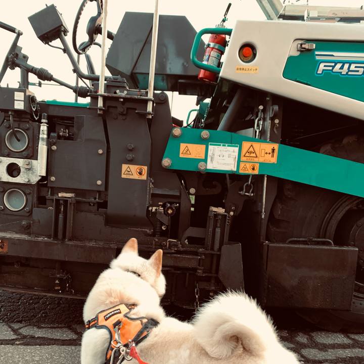 F3f1947f 7bf6 428d b45d 855acc596924 1635027684459