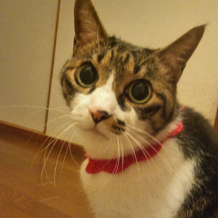 F3f1a716 4e64 46c1 b805 cb49befda8e7 1758762379011