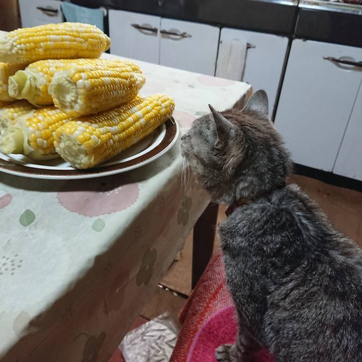 F3f1a95a bb6f 4b01 af6a 19adaf3eb6e6 1596668410145