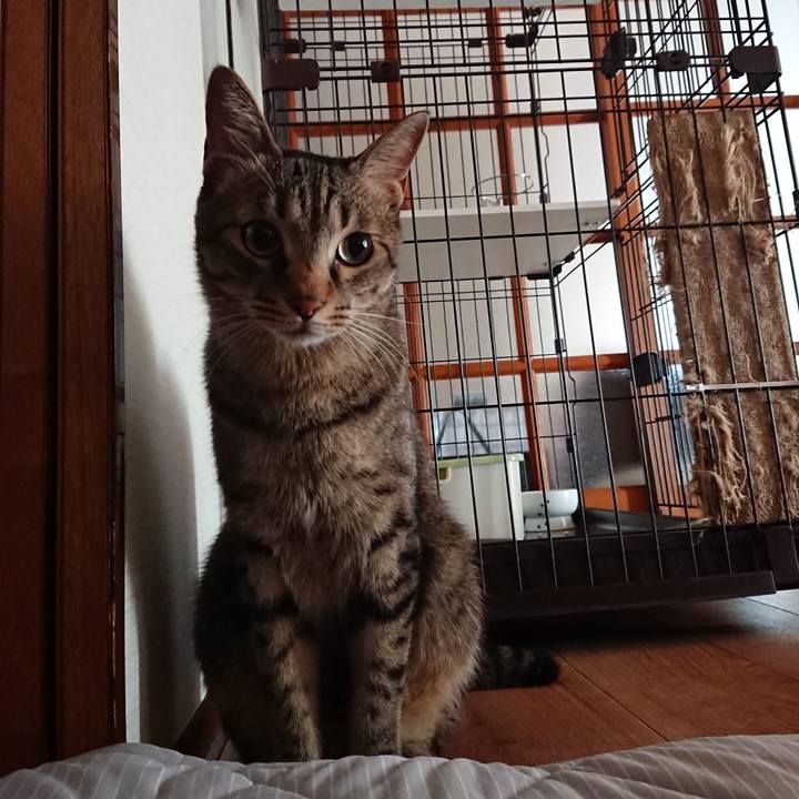 F3f1b3d3 19ac 496d 90c9 9b357fd2daba 1531609832442