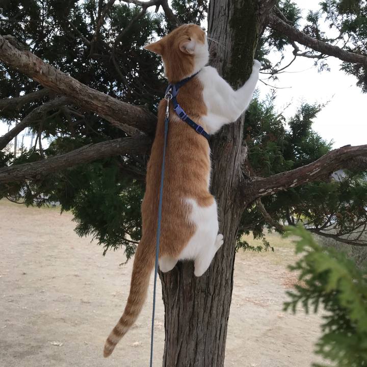 F3f1c5e7 0229 4b98 8812 e4ec015d5e74 1511937365611