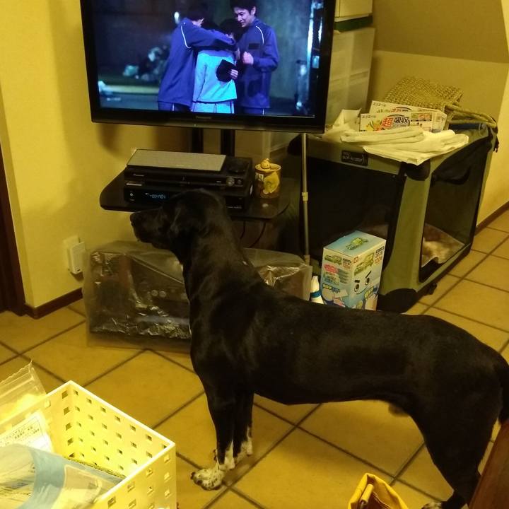 F3f1dd55 4e0a 4932 ba30 3dacd5e67048 1594600081975