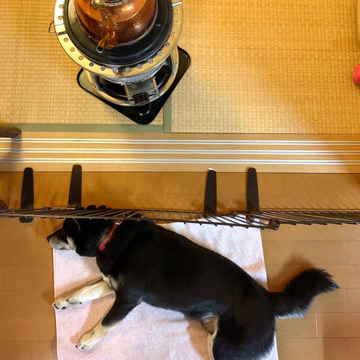 F3f1f89d 5f1a 4081 98df baa98e671263 1578134074267