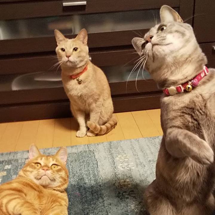 F3f1fe16 0a66 4de7 b994 c757cad20a14 1616241162257