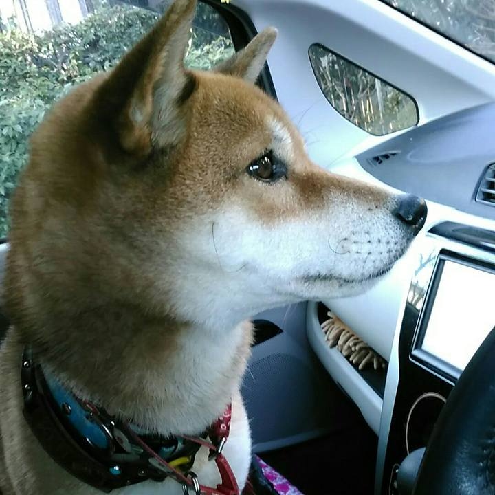 F3f226e9 3d75 41ee 831c 1266758f228a 1545963785277