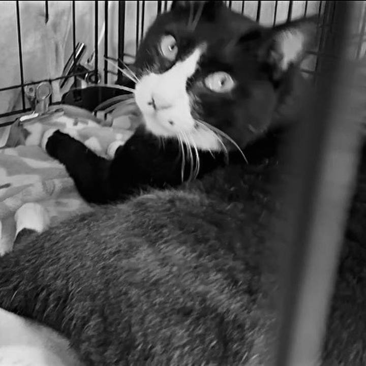 F3f22ad5 c5db 439f a3ee 331d66b1ed74 1751016719617