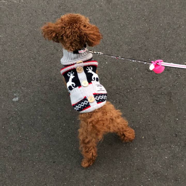 F3f25318 64ec 4fa0 a985 cb0e233dc078 1510666969698