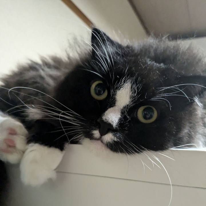 F3f260b0 dfa6 4e52 a71b c8ba35b2371c 1726611841263