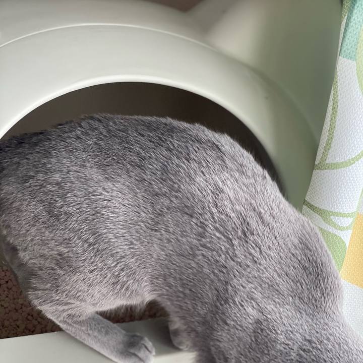 F3f2952f 436e 4edd 8670 6d95c3b541f4 1614392619339