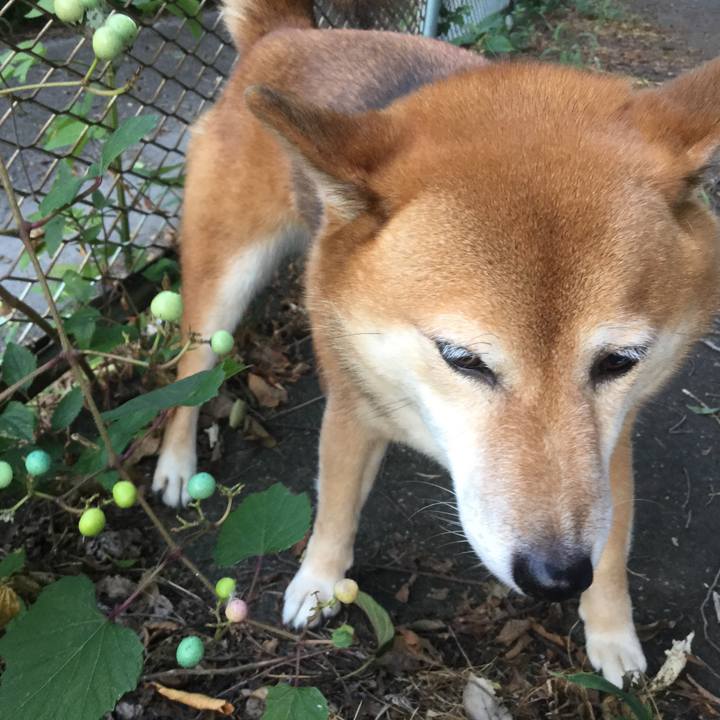 F3f2f7e0 5f55 428d 84de 64a685a91eca 1566204898166