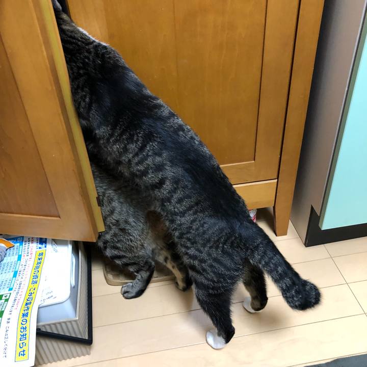 F3f2f855 9e21 49a4 bd0e 3b1439167938 1516305543795