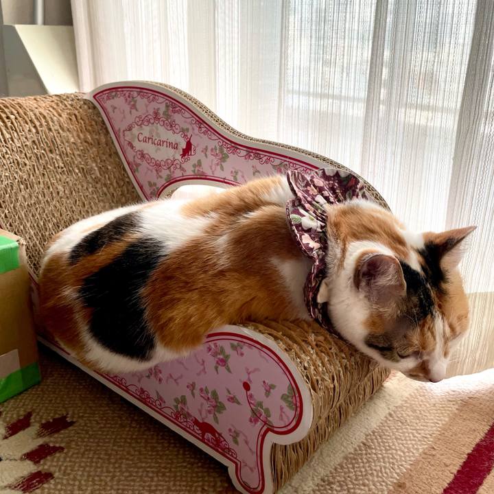 F3f36757 12aa 4b47 8834 3106c163817a 1754350795561