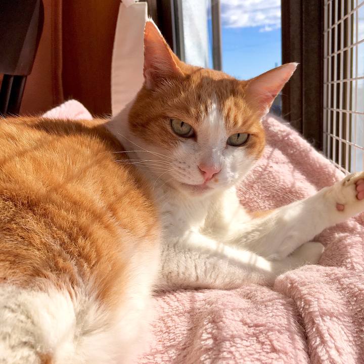 F3f3689f be20 4618 83ba 49fadc8e18b3 1572847635913