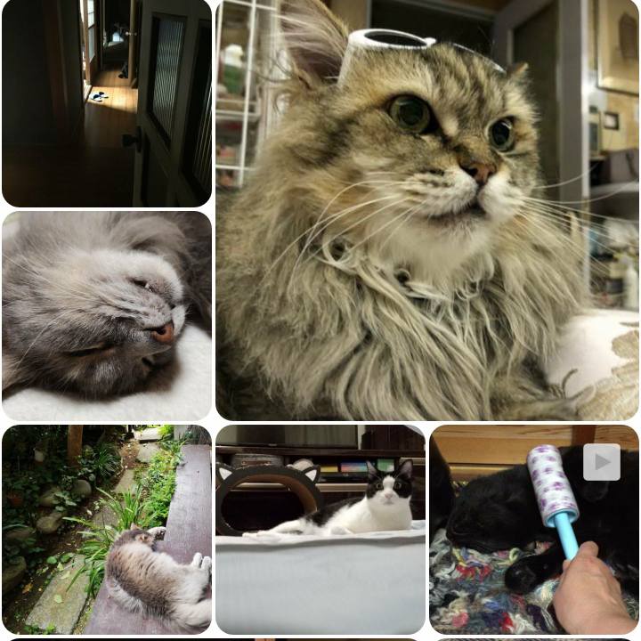 F3f39588 52d9 4da5 bde2 6c941aeea1eb 1559118346182