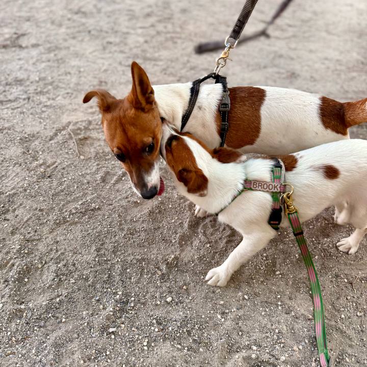 F3f3cef3 a863 4d24 9339 f475e30a7d34 1753799247565