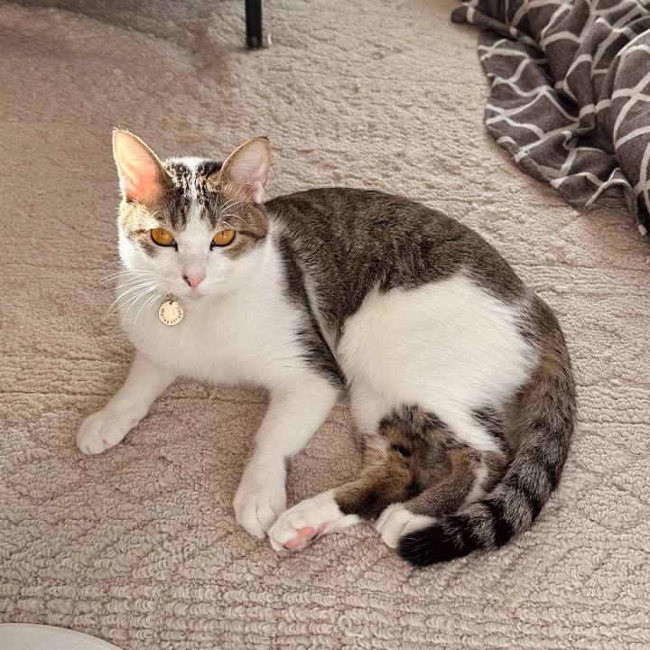 F3f3d4b8 ab60 4a59 a992 93658edf13b3 1768004250696