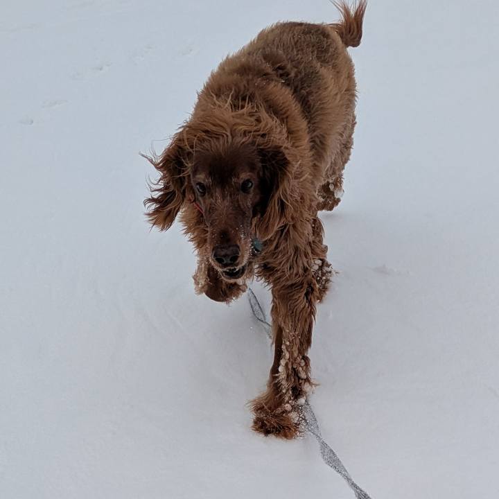 F3f3e84d 07ff 403c 9702 90753e3caea2 1769611207401