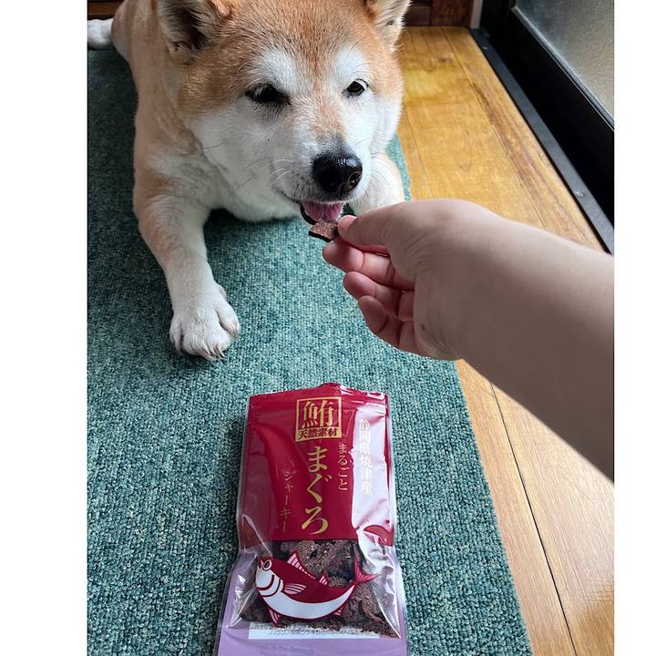 F3f3e976 df58 4e76 b34a 641755e1df6c 1714639078005