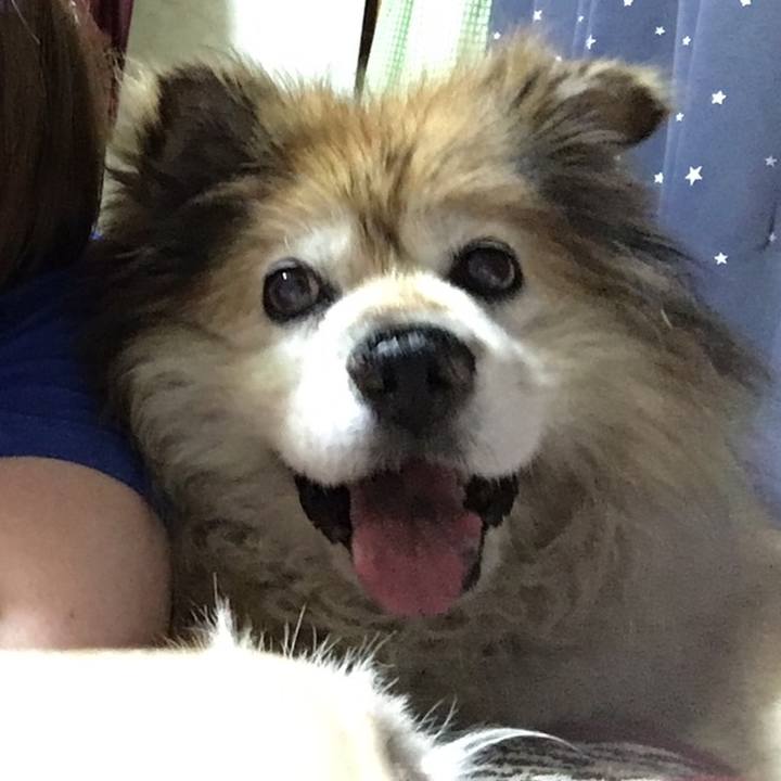 F3f41810 0b8f 4c41 94c3 8a4a575c89ac 1558695161056