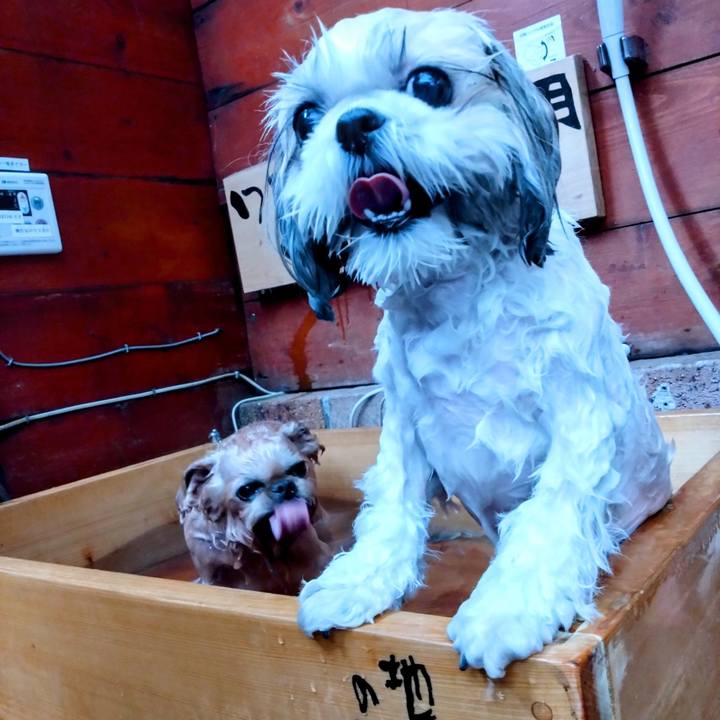 F3f438d6 24ad 4006 bd4d 3e8f1a656a95 1676779634436