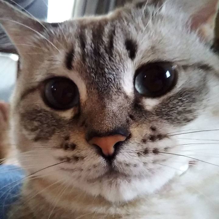 F3f45466 2517 4ac1 a6f6 2c9c0f908796 1601047983622