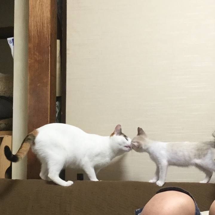 F3f466ef 5abc 44fb 9da8 491e98d8647d 1597143751194