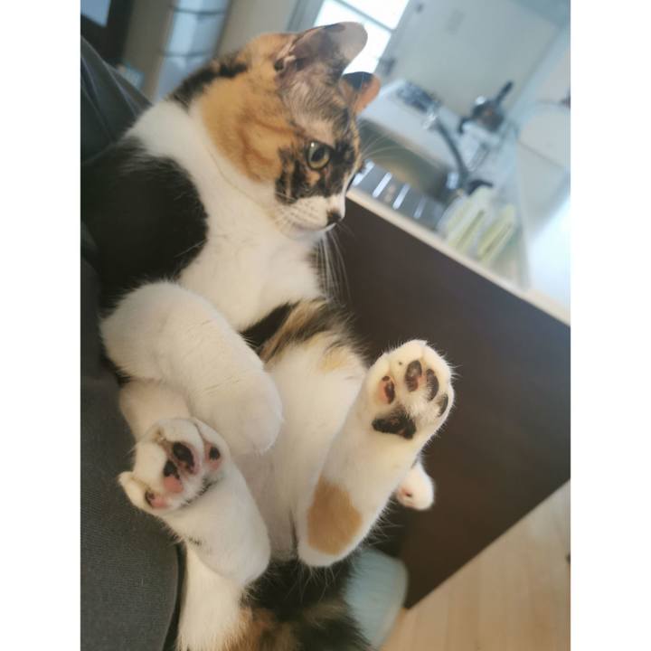 F3f478a1 20c0 405d aa80 3ef0b9a7a818 1663132528058