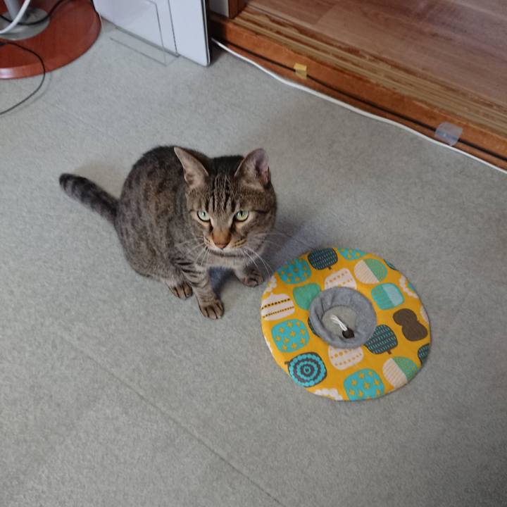 F3f4806a 8ef1 4ce5 b072 d37f572fcd4e 1562469490545