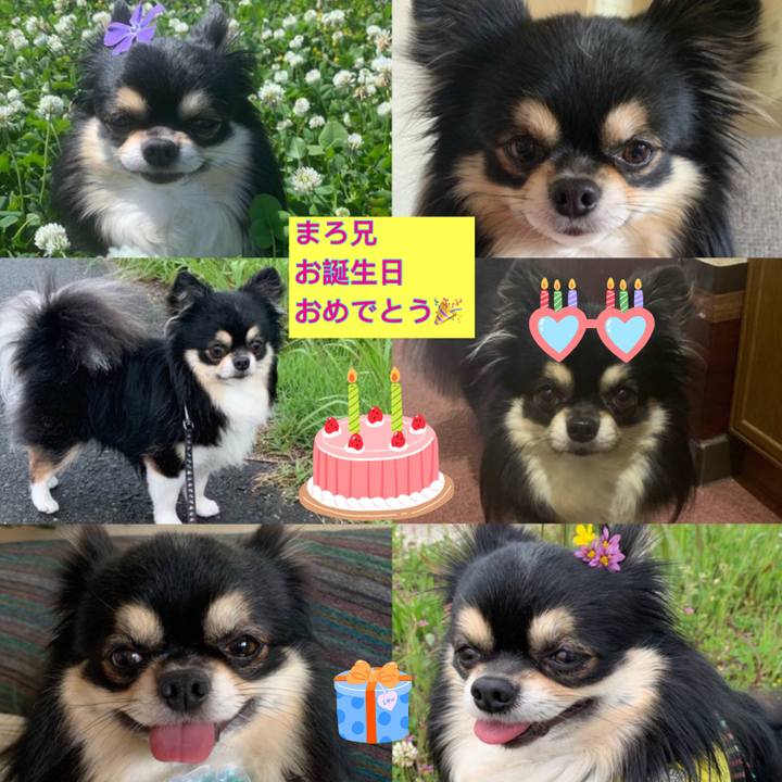 F3f48228 a77a 4944 802b 47e95561415e 1627305110282