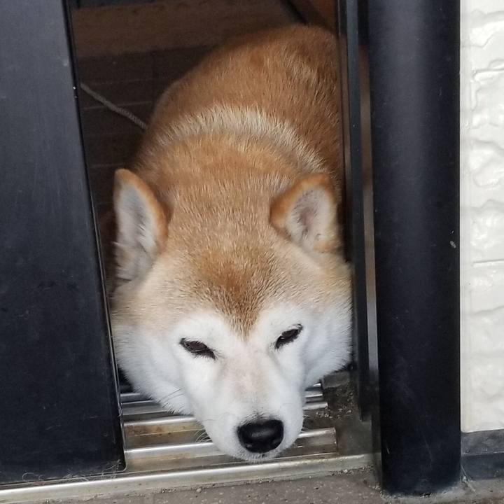 F3f483ca 78e7 4130 9e62 f950de53d317 1659339137921