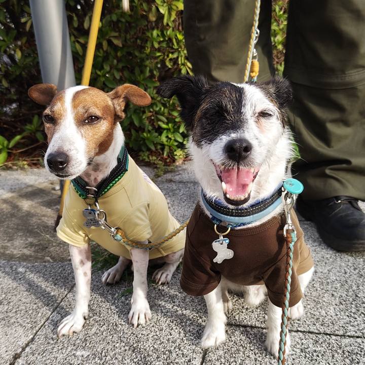 F3f48791 d0c3 48ed 90c0 e885fd9087ac 1722202635466