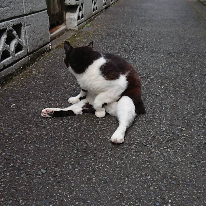 F3f4a08d 3340 4d86 b611 e7128f98aafe 1688797520324