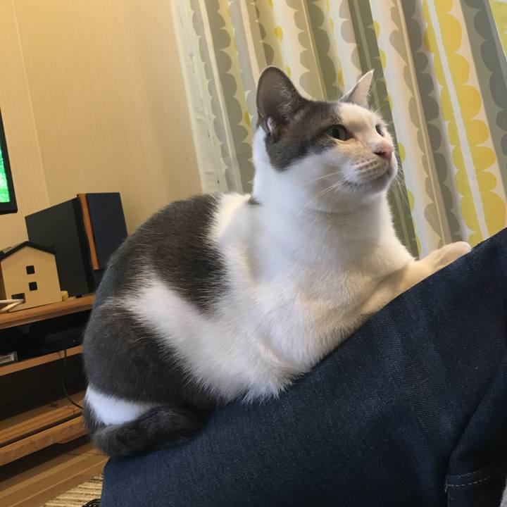 F3f4ab12 00c5 4623 91c2 e2a4a2de1231 1509169781863