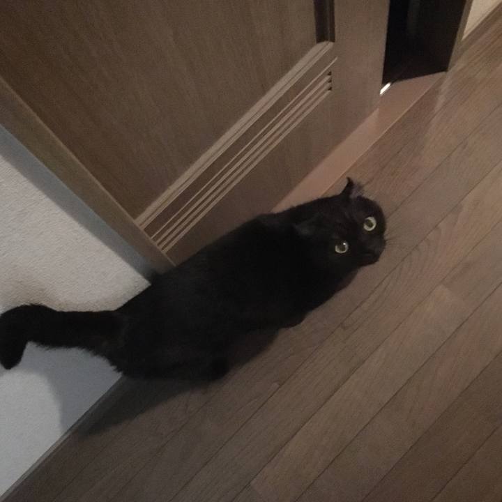 F3f4b723 e78a 4862 a56c f3db60391cee 1542500859746