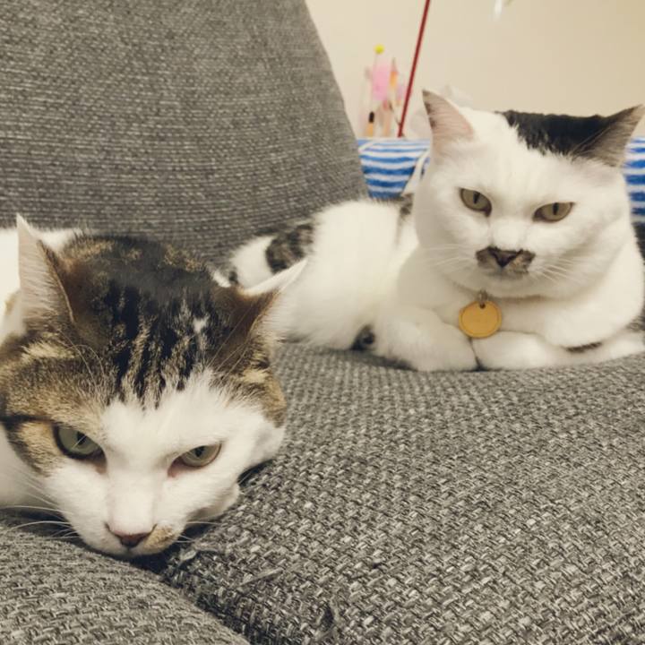 F3f4be92 bb66 4e8d 813d 5423307a9ae8 1534601227695