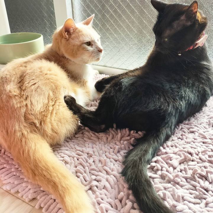 F3f4bf47 b250 4278 9826 463b51ebe457 1681772203242