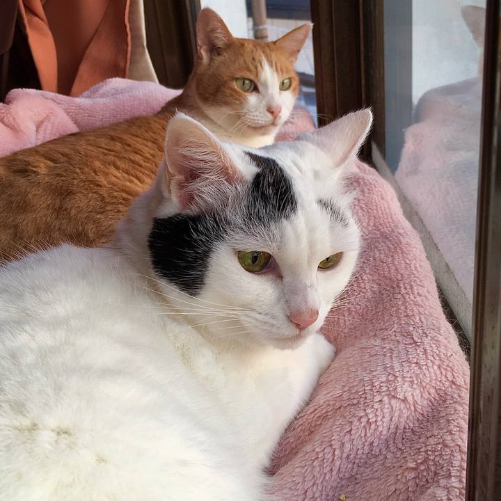 F3f4c899 90f4 4956 8040 cdf8e2ec0e7f 1573442475148