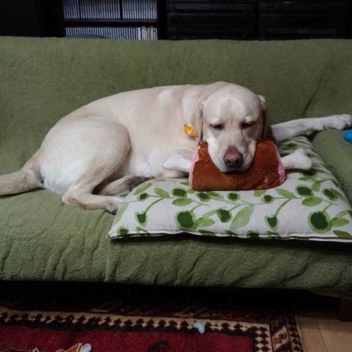 F3f50042 59ff 4ddd 9df3 5fd9f00ae043 1548493326390