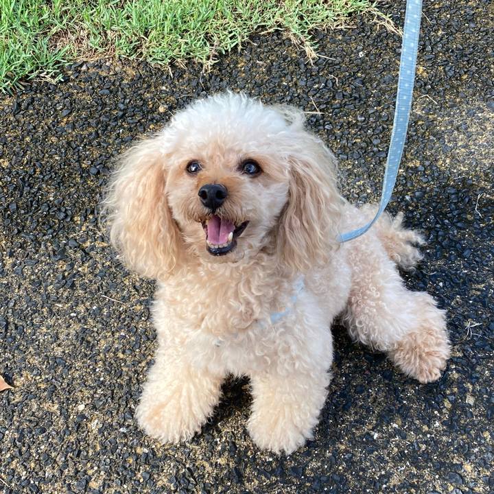 F3f50d4a 817b 4242 9832 193b030de647 1628987208046